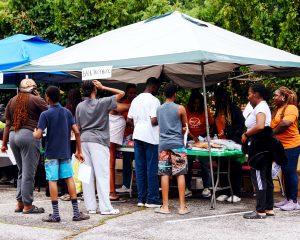 Landscape photo at community event