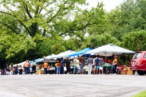 Landscape photo at community event